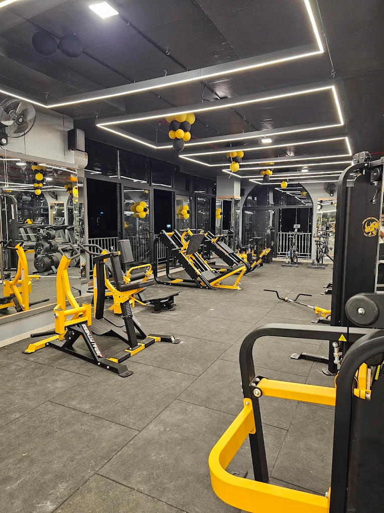 Training at Rhino Fitness